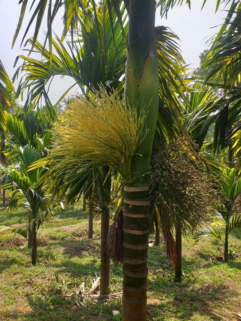 Single boundary property