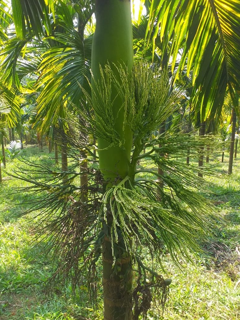 Single boundary property