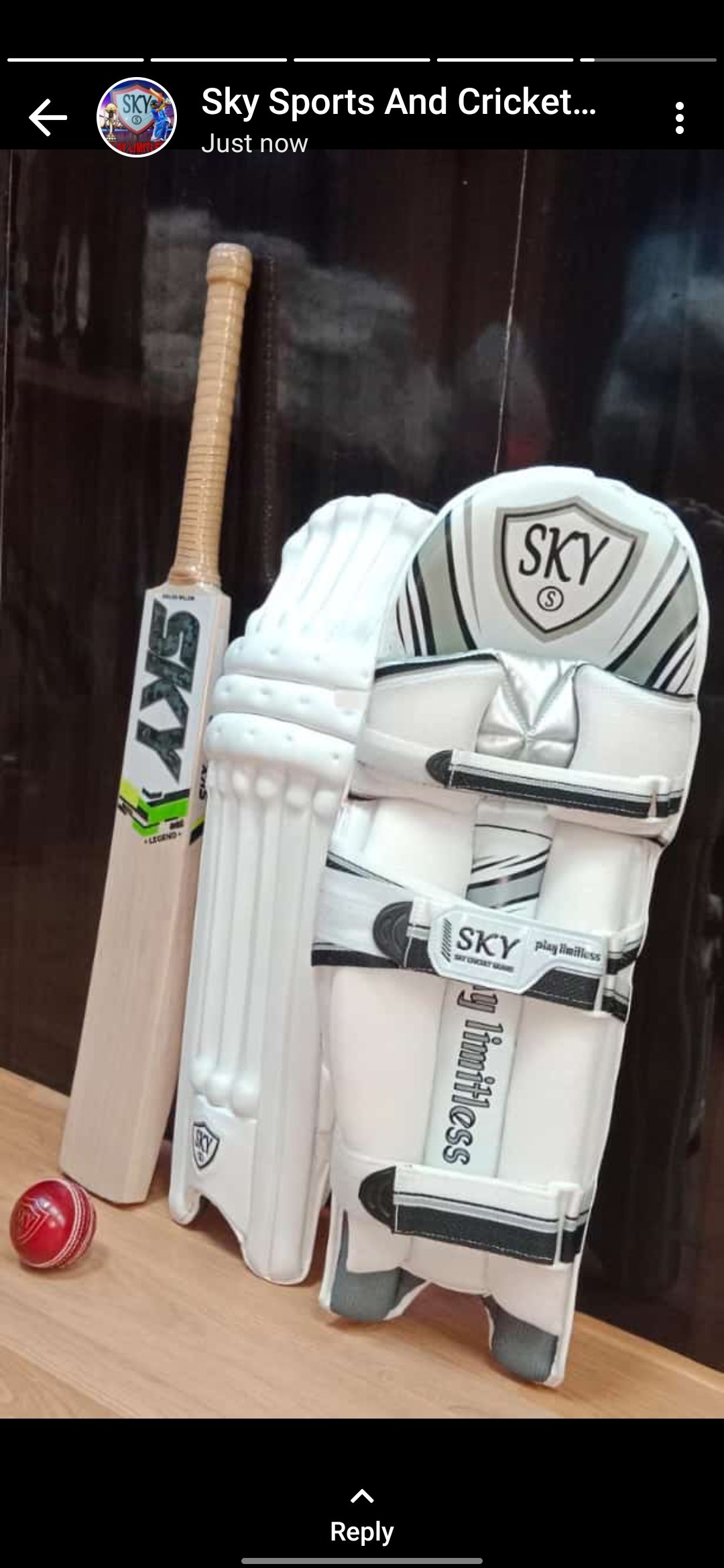 SKY WARRIOR BATTING LEGGUARD