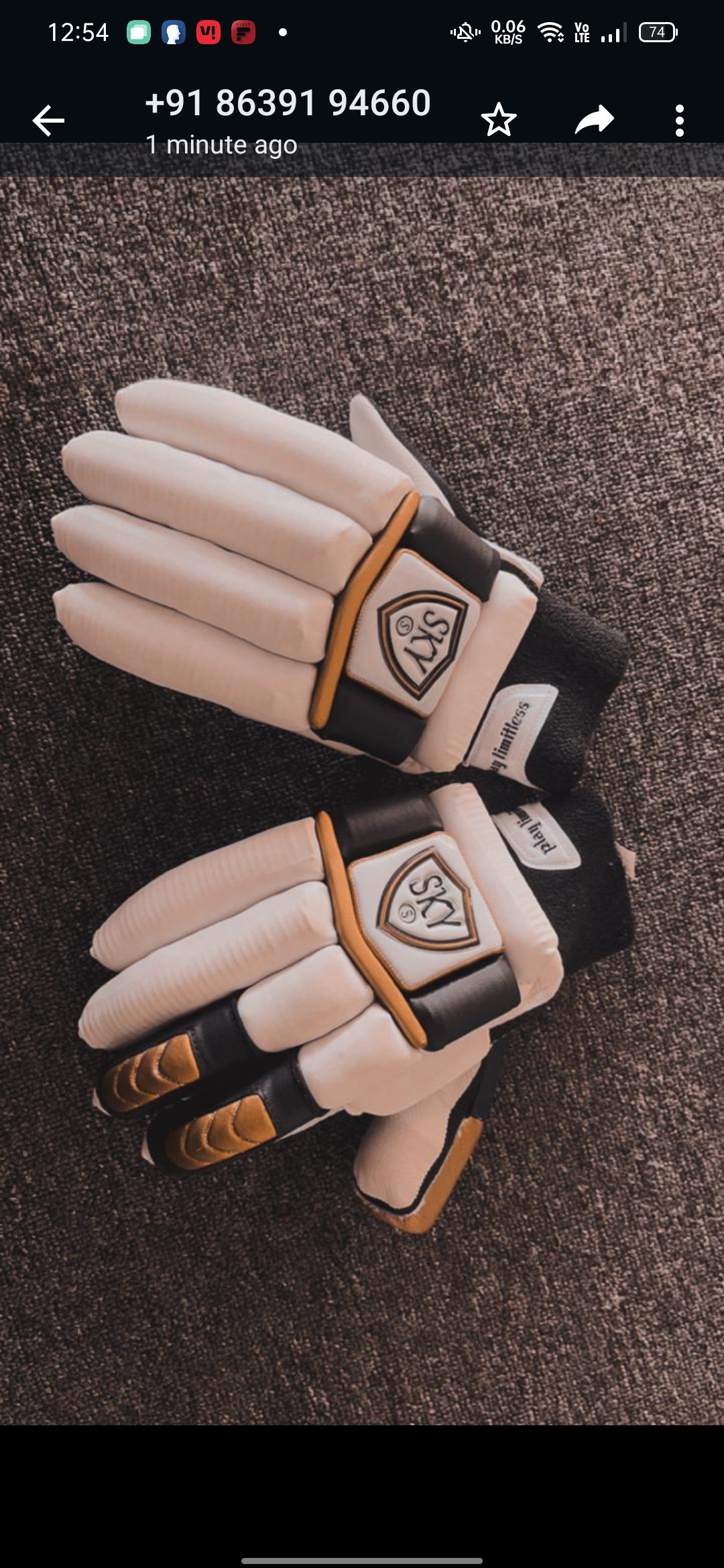 SKY PLATINUM PREMIUM PITARD leather BATTING Gloves