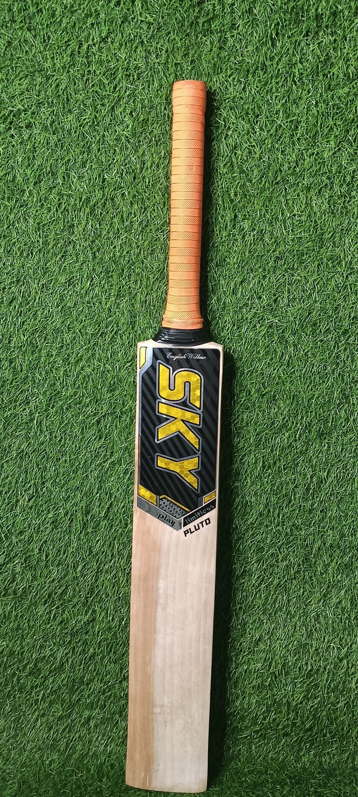 SKY PLUTO EDITION GRADE 2 ENGLISH WILLOW