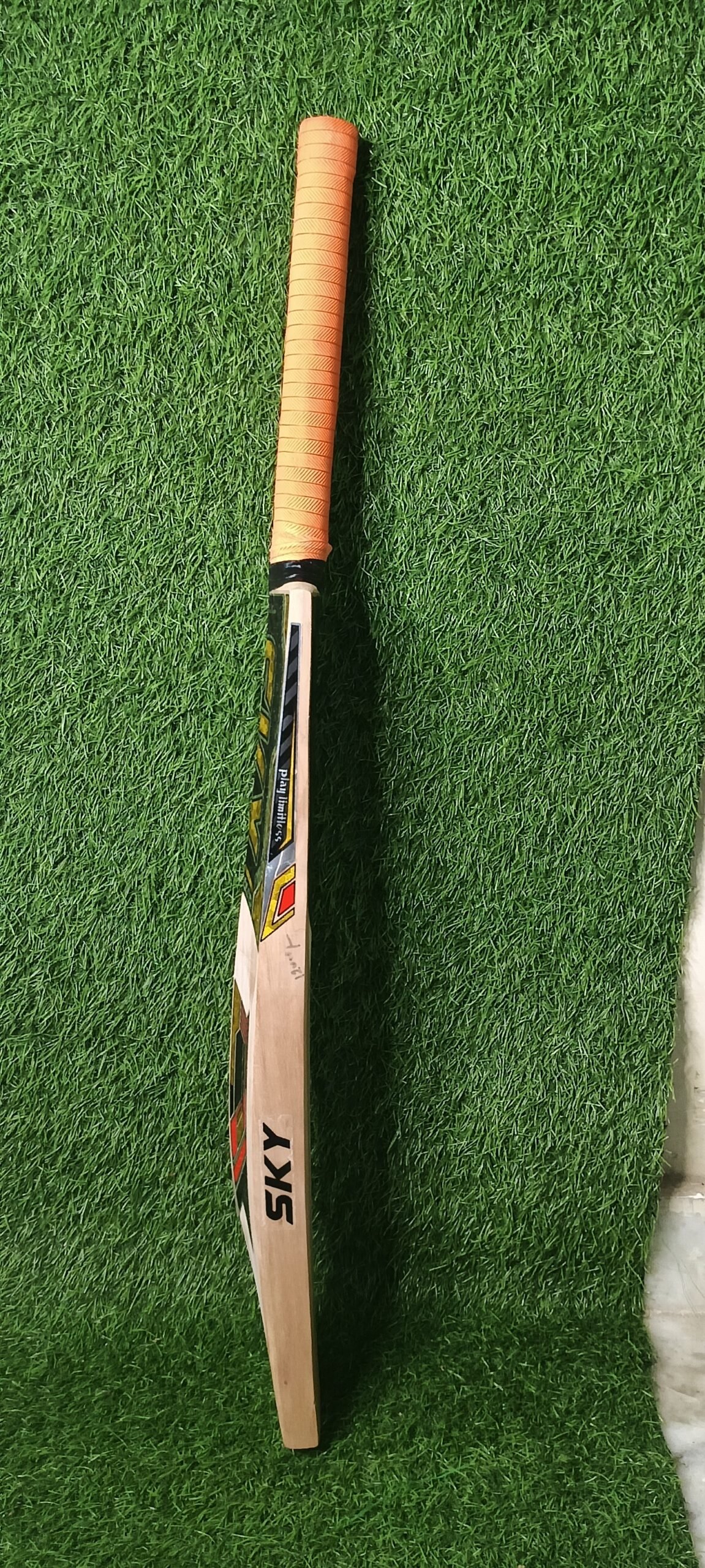 SKY PLUTO EDITION GRADE 2 ENGLISH WILLOW