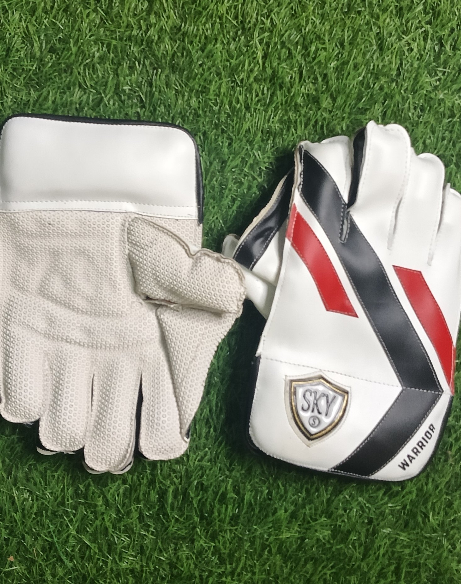 Sky Warrior Wicket Keeping Gloves (Boys & Youth)